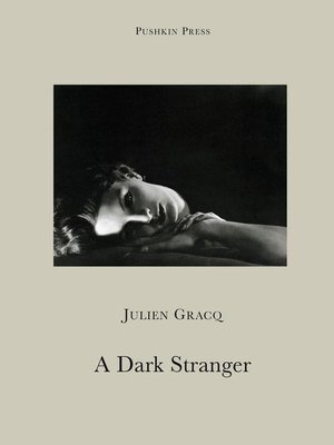 cover image of A Dark Stranger